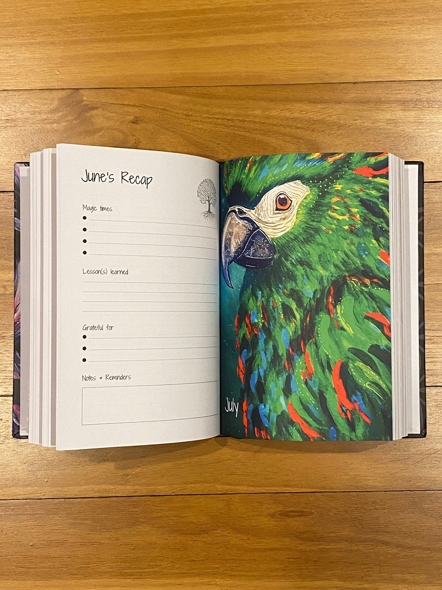 Recap page for June from the Infinite Journal by Ira Light, showcasing sections for magic times, lessons learned, gratitude reflections, and notes and reminders. Adorned with a beautiful green parrot painted by local Australian artist Stacie Spiler, symbolising the month of July, with each month featuring a unique animal artwork.