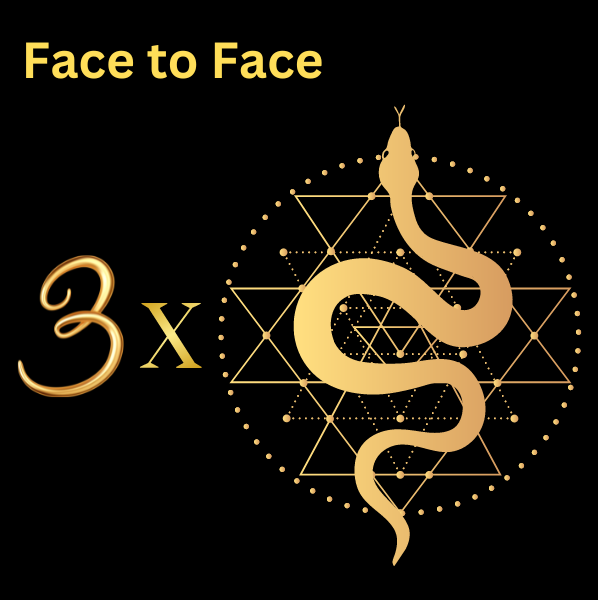 Face to face F2F x3 sessions with golden snake on top of sacred geometry