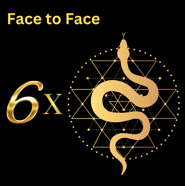 Face to face F2F x6 sessions with golden snake on top of sacred geometry