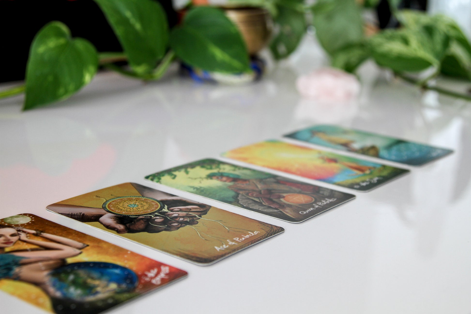 Five tarot cards laid out in a spread against a lush green plant background, symbolising connection to nature and intuition.