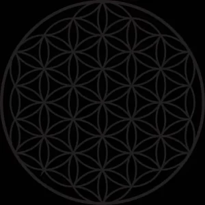 Flower of Life Sacred Geometry - Also Ira Belle love the Metratron cube and the Merkaba sacred geometries